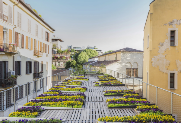 The Gardens of Eden livre jardin jardins innovant projets de jardins durable durabilité conseils jardinage durable interview entretiens jardinier nouveau webshop librairie acheter commander en ligne Chic Gardens magazine