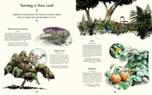 Evergreen nouveau livre d'inspiration livre de plantes fleurs jardins terrasses toit aux plantes balcons de plantes vert nature idées jardinage jardins de rêve jardins exclusifs jardins de villa luxe extérieur intérieur projets internationaux floristes magazine belge Chic Gardens meubles de jardin astuces trucs conseils informations