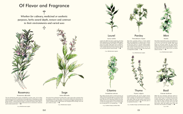 Evergreen nouveau livre d'inspiration livre de plantes fleurs jardins terrasses toit aux plantes balcons de plantes vert nature idées jardinage jardins de rêve jardins exclusifs jardins de villa luxe extérieur intérieur projets internationaux floristes magazine belge Chic Gardens meubles de jardin astuces trucs conseils informations