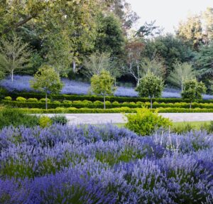 The Garden: Elements and styles beaux livres livres de jardin magazine chic gardens jardins exclusifs luxe librairie boutique en ligne inspiration jardins amateurs de jardins exclusifs fleurs plantes nature autour du monde trucs astuces jardins de rêve jardins d'ornement