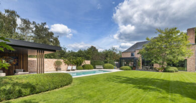 L'opulence des arbres verts