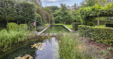 Les propriétaires trouvaient qu'il manquait un point d'eau dans ce jardin luxuriant de Boutersem. Tuinwerken Willemsens a conçu un étang de baignade avec une zone rectangulaire où l'on peut facilement faire des longueurs et une zone de filtration de forme libre et organique avec, entre autres, des nénuphars