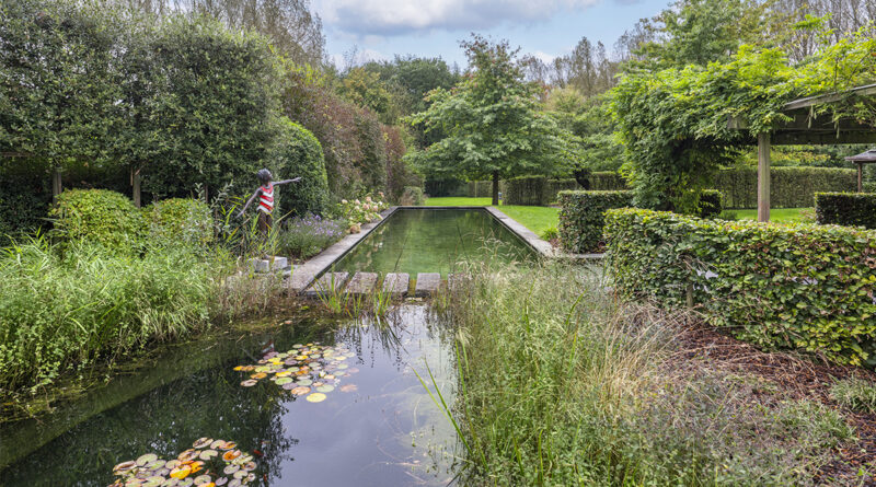 Les propriétaires trouvaient qu'il manquait un point d'eau dans ce jardin luxuriant de Boutersem. Tuinwerken Willemsens a conçu un étang de baignade avec une zone rectangulaire où l'on peut facilement faire des longueurs et une zone de filtration de forme libre et organique avec, entre autres, des nénuphars