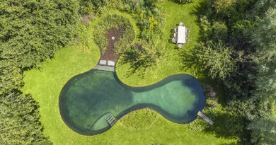 Etang de baignade de Cool Tuinaanleg: Quand la limite entre terre et eau s’estompe